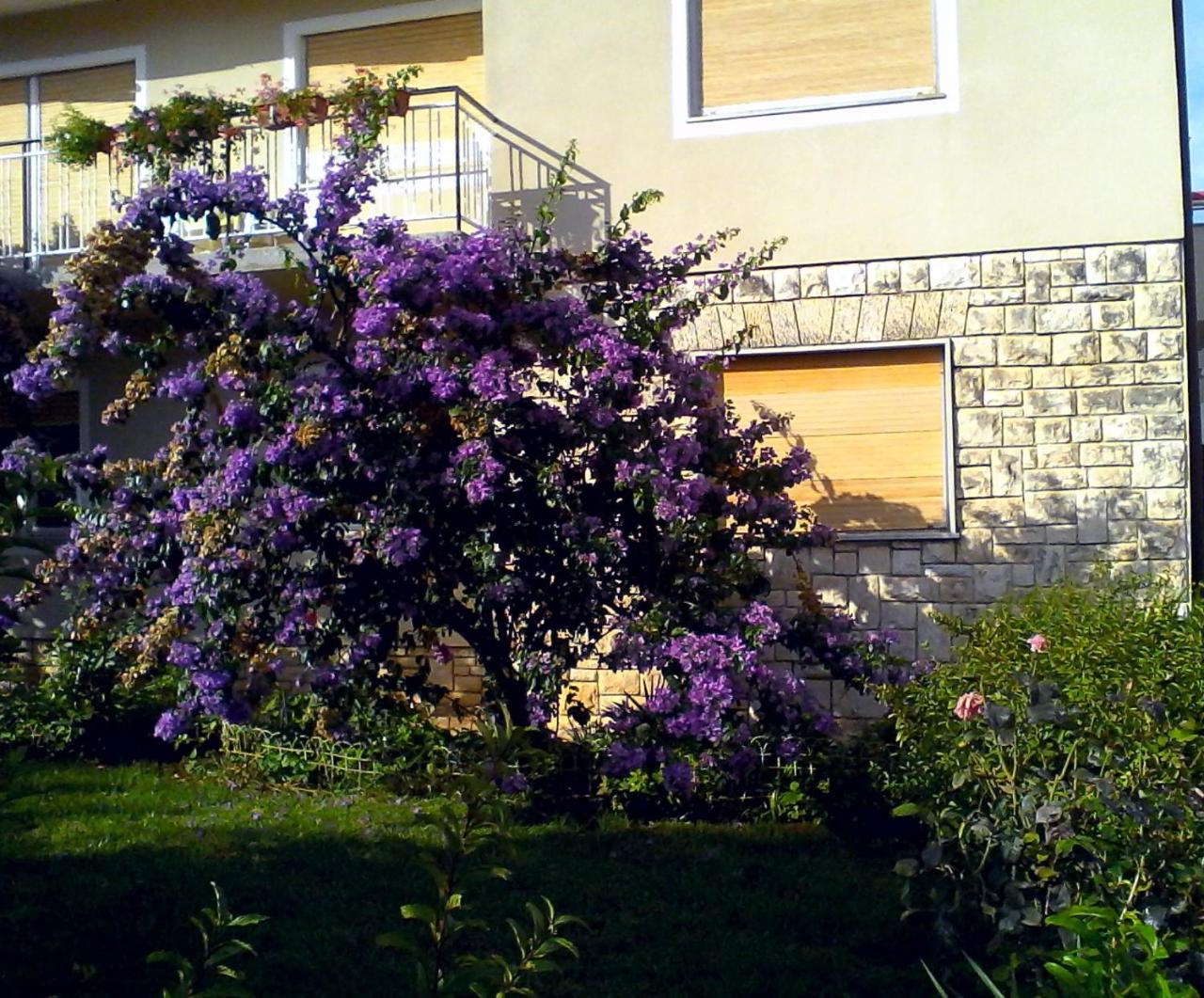Lovely Apartment In Pomer Luaran gambar