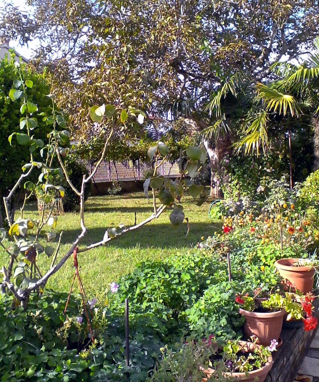Lovely Apartment In Pomer Luaran gambar